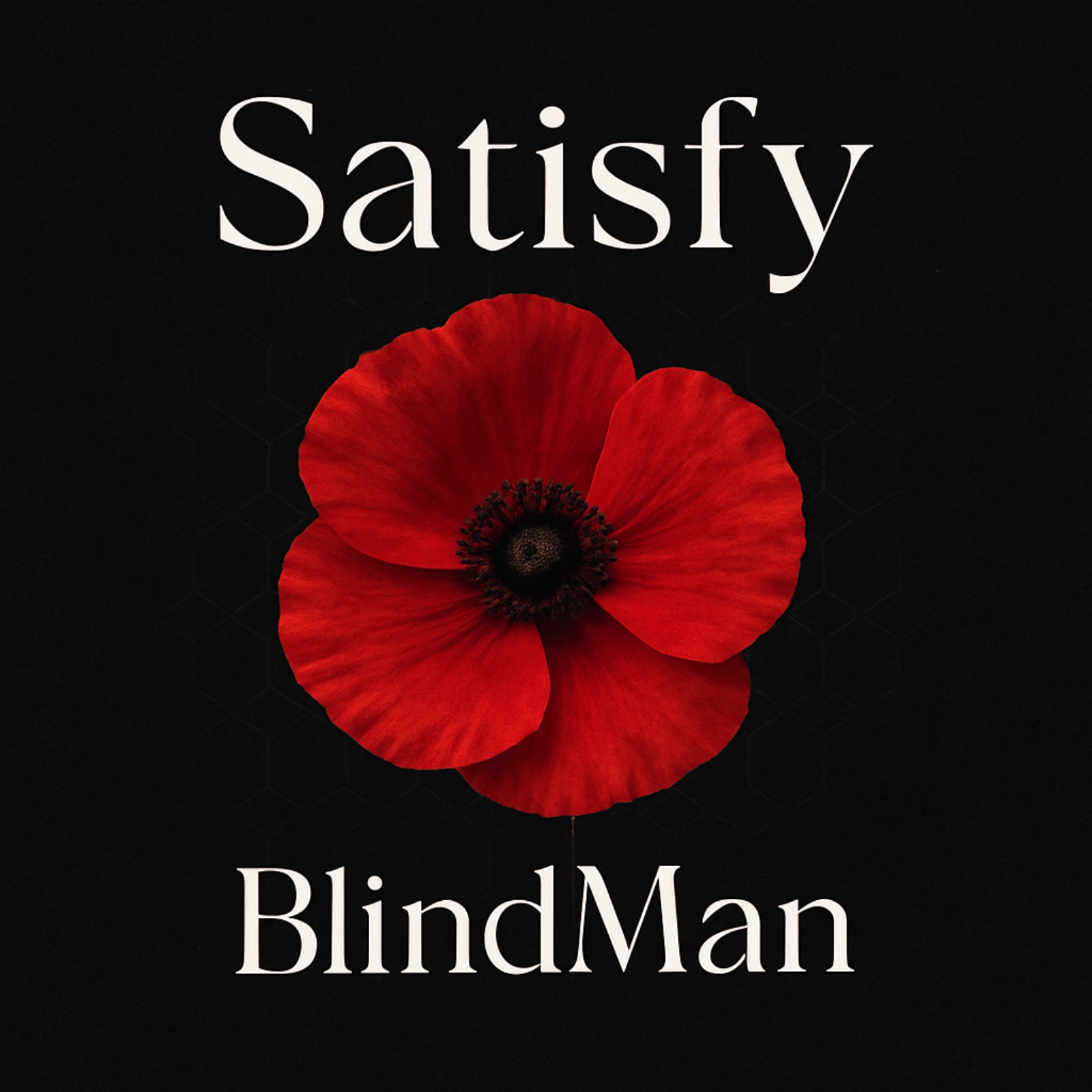 Cover: Satisfy